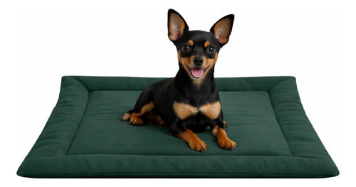 Colchonete Caminha Pet Almofada Cachorro Gato Porte Pequeno Verde Liso