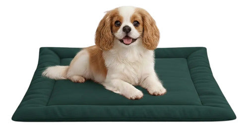 Colchonete Pet Caminha Almofada Cachorro Gato M Porte Médio Verde Liso