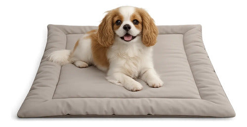 Colchonete Pet Caminha Almofada Cachorro Gato M Porte Médio Bege Liso