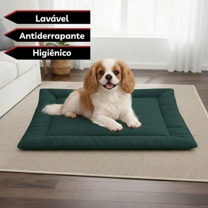 Colchonete Pet Caminha Almofada Cachorro Gato M Porte Médio Verde Liso