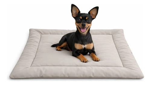 Colchonete Pet Porte Pequeno Caminha Cachorro Gato P Bege Liso