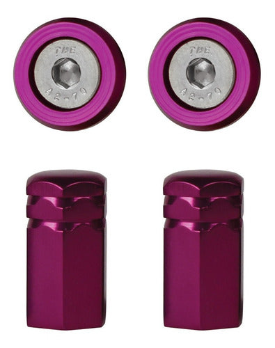 Kit Moto Parafuso De Placa E Tampa Válvula Sextavada - Roxo