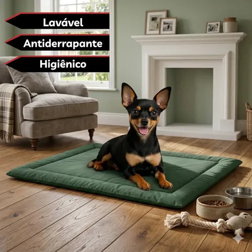 Colchonete Caminha Pet Almofada Cachorro Gato Porte Pequeno Verde Liso