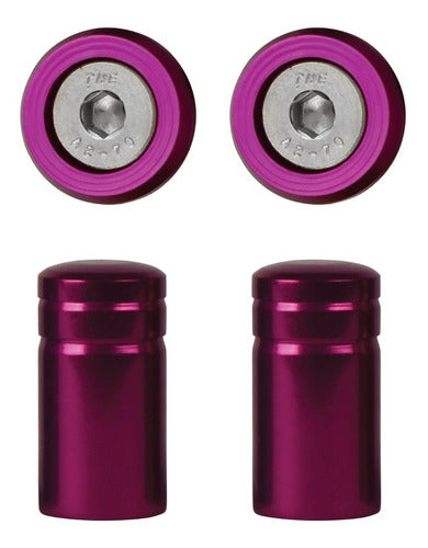 Parafuso De Placa + Tampa De Válvula Moto Redonda - Roxo