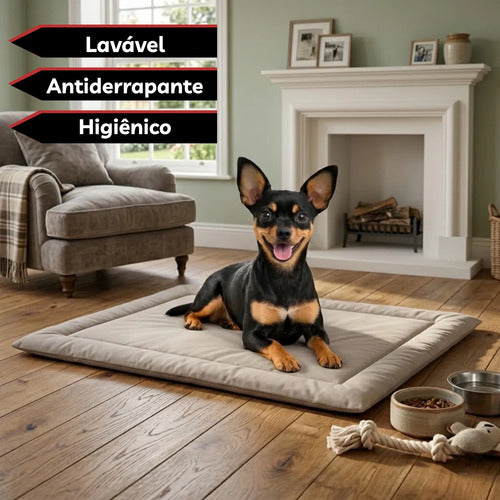 Colchonete Caminha Pet Almofada Cachorro Gato Porte Pequeno Bege Liso