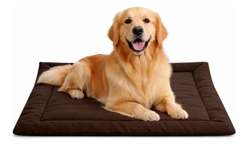 Caminha Pet Porte Grande Almofada Cama Cachorro/gato G Marrom Liso
