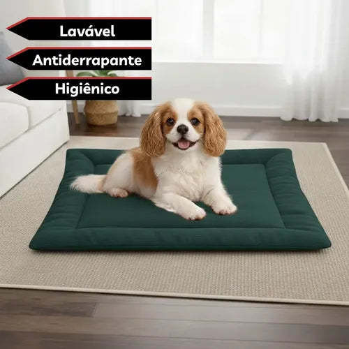 Colchonete Caminha Pet Porte Médio Almofada Cachorro Gato M Verde Liso