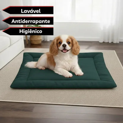 Colchonete Caminha Pet Porte Médio Almofada Cachorro Gato M Verde Liso