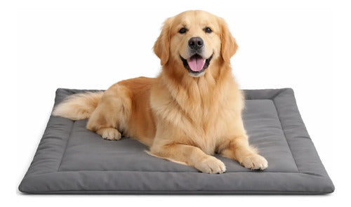 Caminha Pet Porte Grande Almofada Cama Cachorro/gato G Cinza Liso