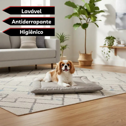 Colchonete Pet Caminha Almofada Cachorro Gato M Porte Médio Bege Liso