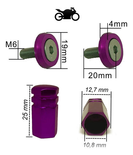 Parafuso De Placa + Tampa De Válvula Moto Redonda - Roxo