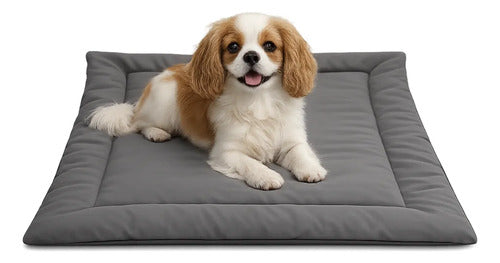 Colchonete Pet Caminha Almofada Cachorro Gato M Porte Médio Cinza Liso