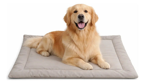 Caminha Pet Porte Grande Almofada Cama Cachorro/gato G Bege Liso