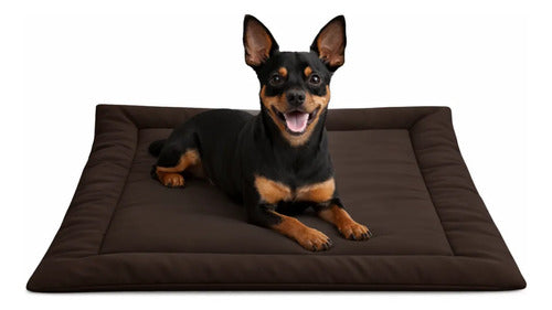 Colchonete Caminha Pet Almofada Cachorro Gato Porte Pequeno Marrom Liso